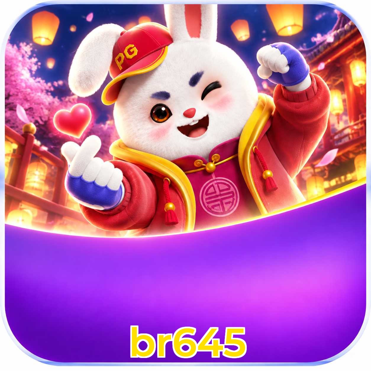 br645 System Requirements
