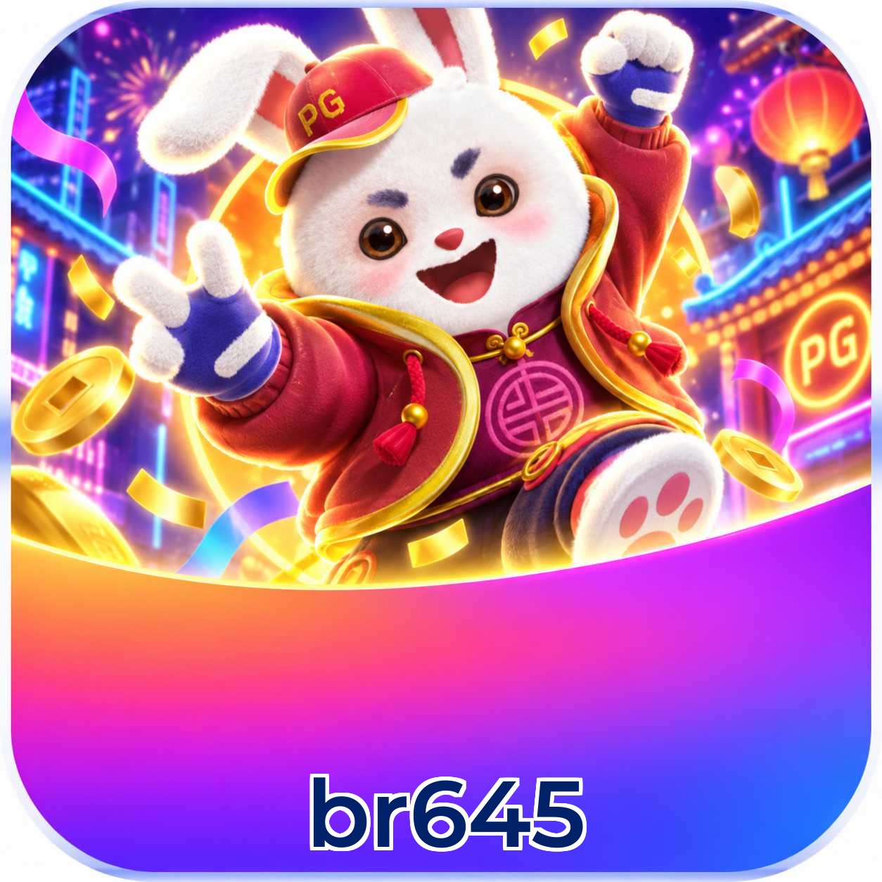 br645 Installation Guide