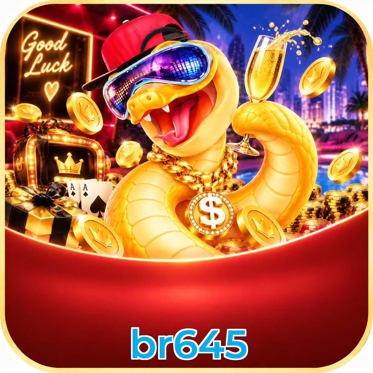 br645 Logo