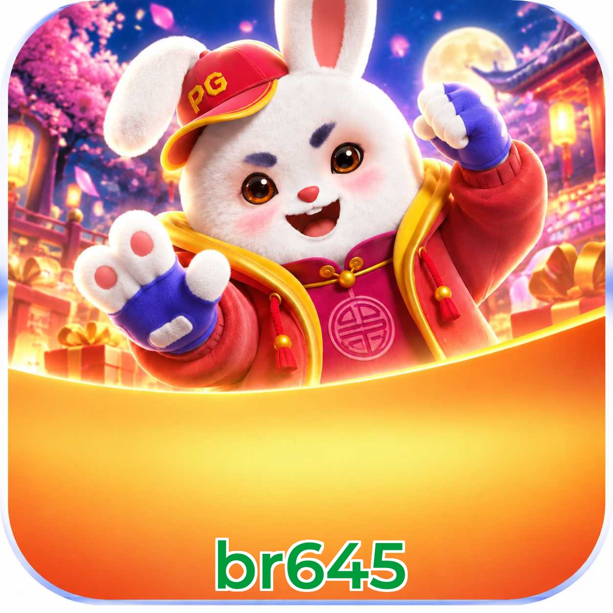 br645 Logo