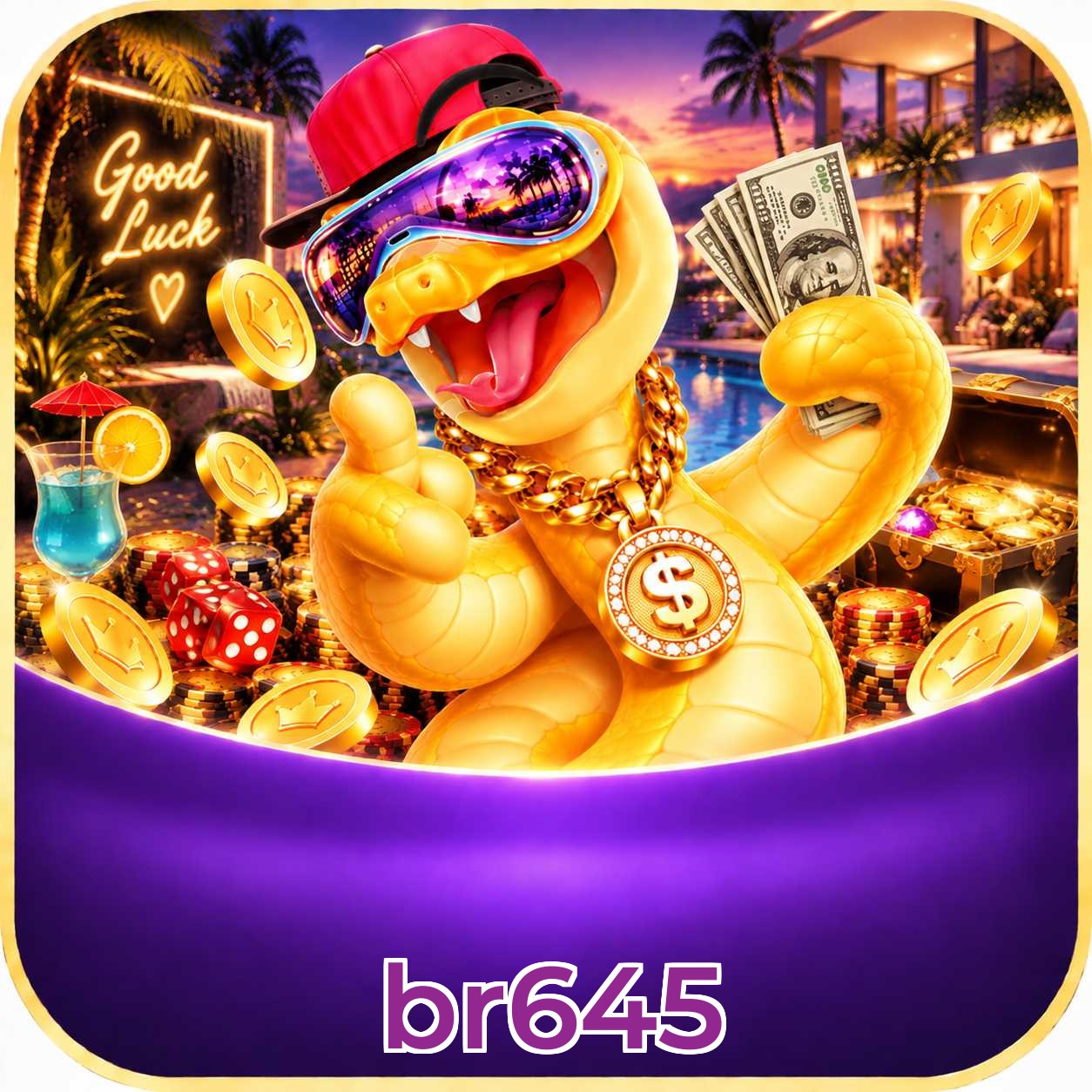 br645 FAQ