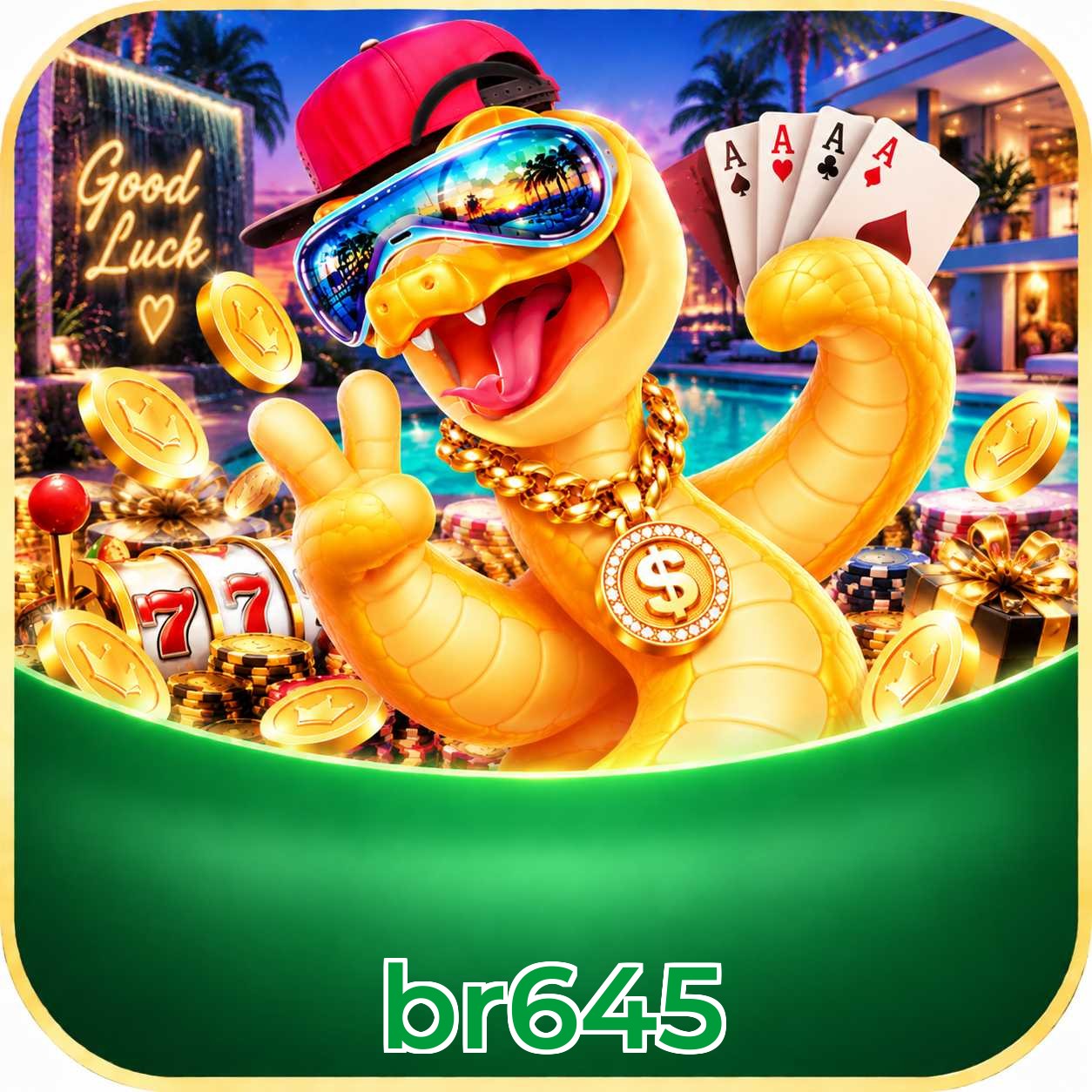 br645 Requirements