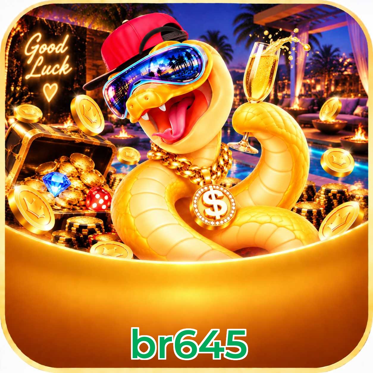 br645 Final Verdict